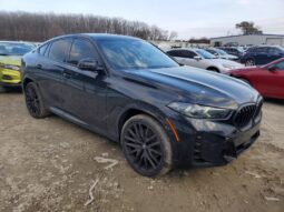 
										2025 BMW X6 full									
