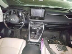 
										2019 Toyota Rav4 full									