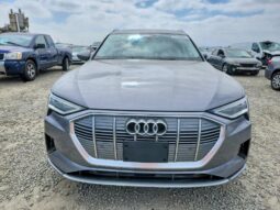
										2019 Audi E-tron full									