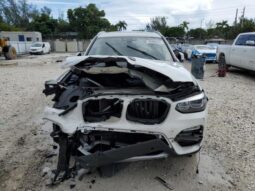 
										2019 BMW X3 full									