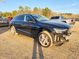 
										2023 Audi Q8 full									