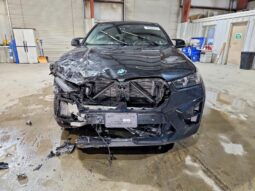 
										2024 BMW X6 full									