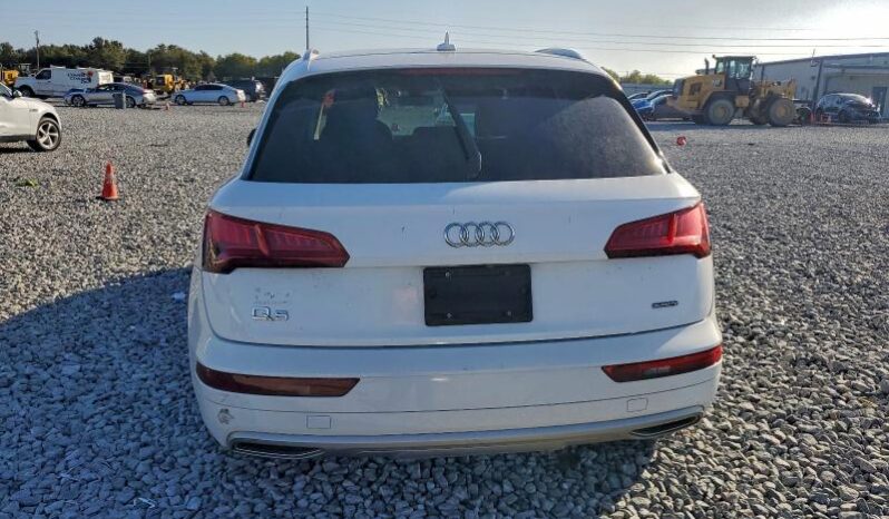 
								2019 Audi Q5 full									