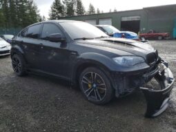 
										2010 BMW X6 full									