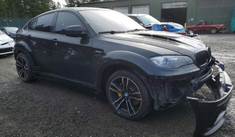
								2010 BMW X6 full									