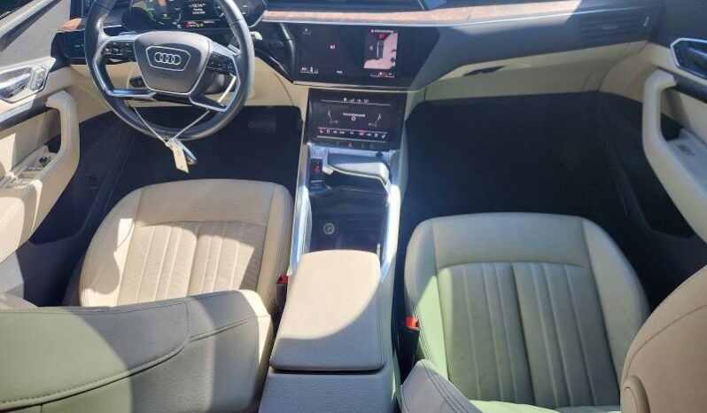 
								2019 Audi E-tron full									