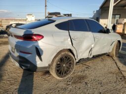 
										2024 BMW X6 full									