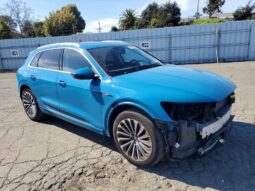 
										2019 Audi E-tron full									
