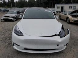 
										2025 Tesla Model y full									