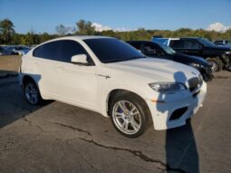 
										2014 BMW X6 full									