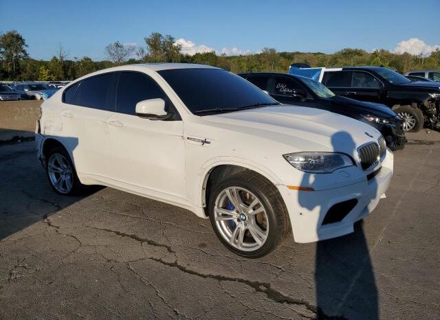 
								2014 BMW X6 full									