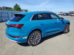 
										2019 Audi E-tron full									