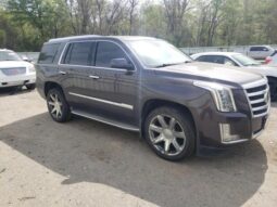 
										2015 Cadillac Escalade full									