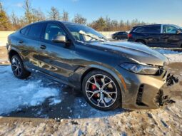 
										2026 BMW X6 full									