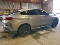 
										2025 BMW X6 full									
