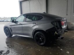 
										2019 BMW X6 full									