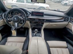 
										2019 BMW X6 full									