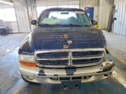 
										2004 Dodge Dakota full									