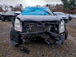
										2013 Cadillac Srx full									