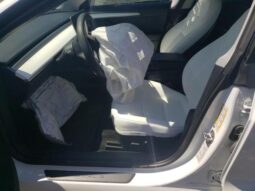 
										2021 Tesla Model 3 full									