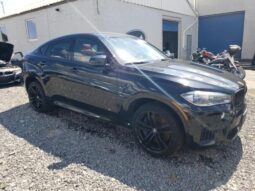 
										2018 BMW X6 full									