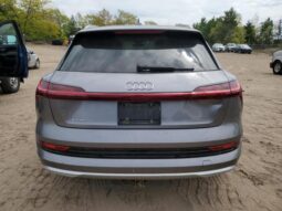 
										2019 Audi E-tron full									