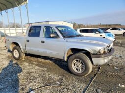 
										2003 Dodge Dakota full									