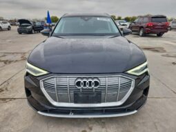 
										2019 Audi E-tron full									