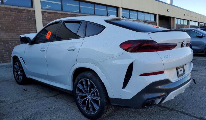 
								2026 BMW X6 full									
