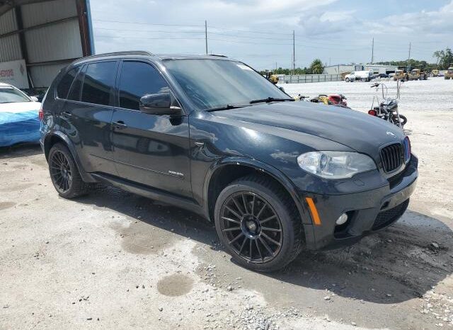 
								2013 BMW X5 full									
