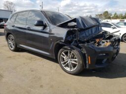 
										2019 BMW X3 full									