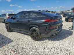
										2024 BMW X6 full									