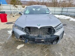 
										2026 BMW X6 full									