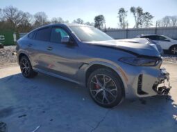 
										2026 BMW X6 full									