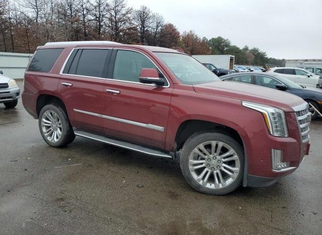 
								2019 Cadillac Escalade full									