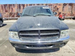 
										1998 Dodge Dakota full									