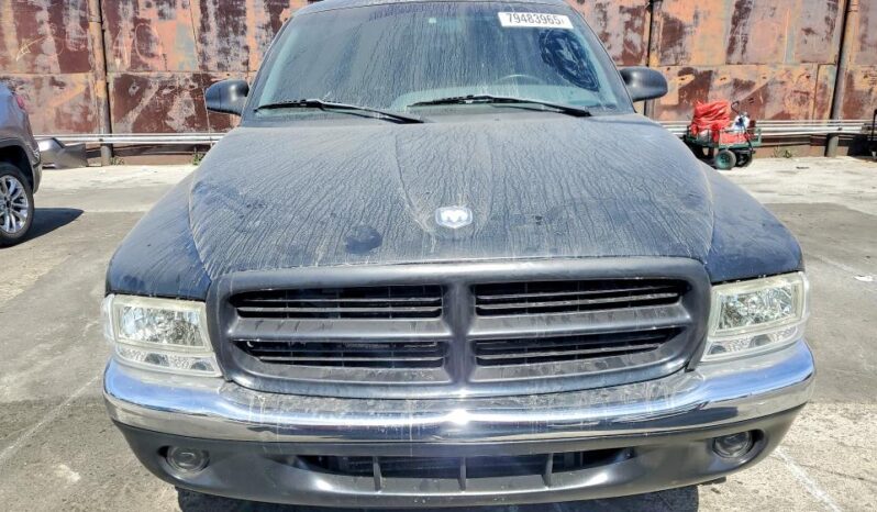 
								1998 Dodge Dakota full									