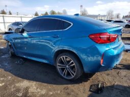 
										2017 BMW X6 full									