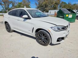 
										2017 BMW X6 full									