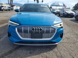 
										2019 Audi E-tron full									