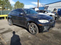 
										2013 BMW X6 full									