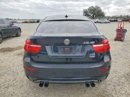 
										2013 BMW X6 full									
