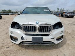 
										2019 BMW X6 full									