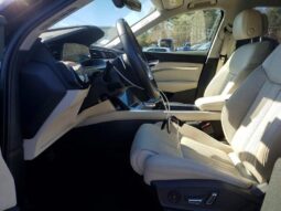 
										2019 Audi E-tron full									