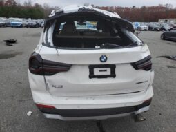 
										2024 BMW X3 full									