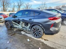 
										2023 BMW X6 full									