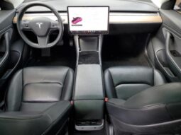 
										2019 Tesla Model 3 full									