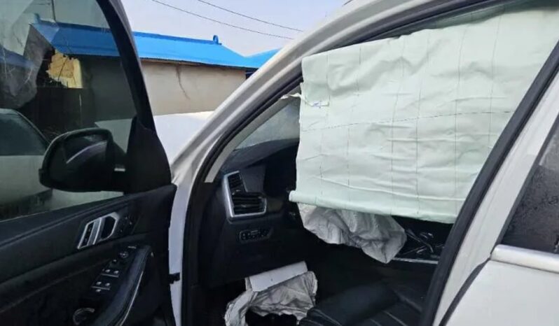 
								BMW X5 xDrive30d full									