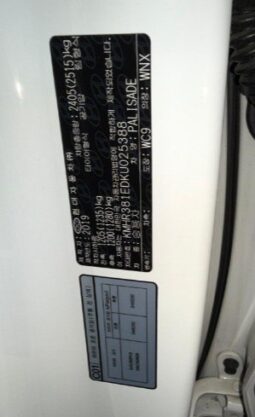 
										HYUNDAI PALISADE full									
