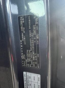 
										HYUNDAI SANTA FE full									
